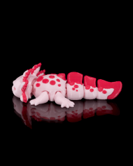 Baby axolotl - Tart