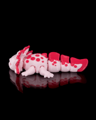 Baby axolotl - Tart