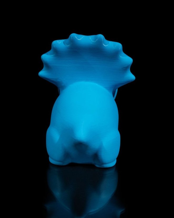 Baby Triceratops
