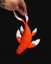 Koi kapr