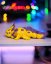 Baby axolotl - Split - Velikost: Maxi