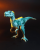 Raptor