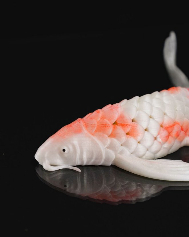Koi kapr