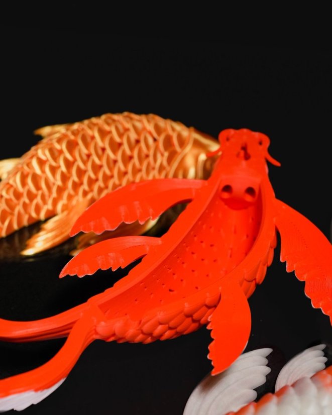 Koi kapr