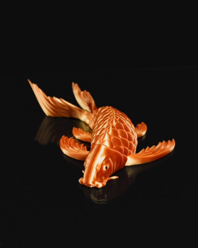 Koi kapr