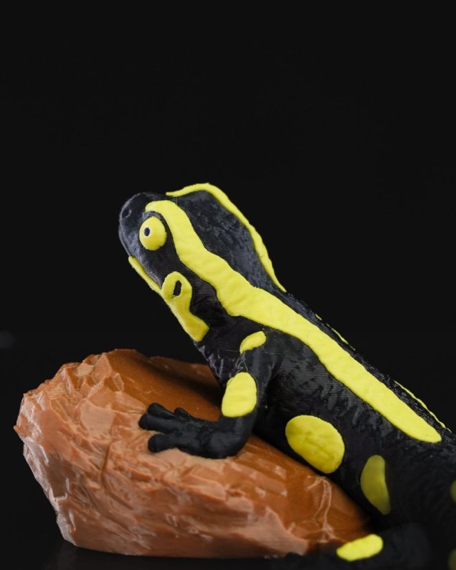 Salamandra