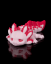 Baby axolotl - Tart