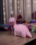 Baby Brontosaurus
