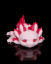 Baby axolotl - Tart