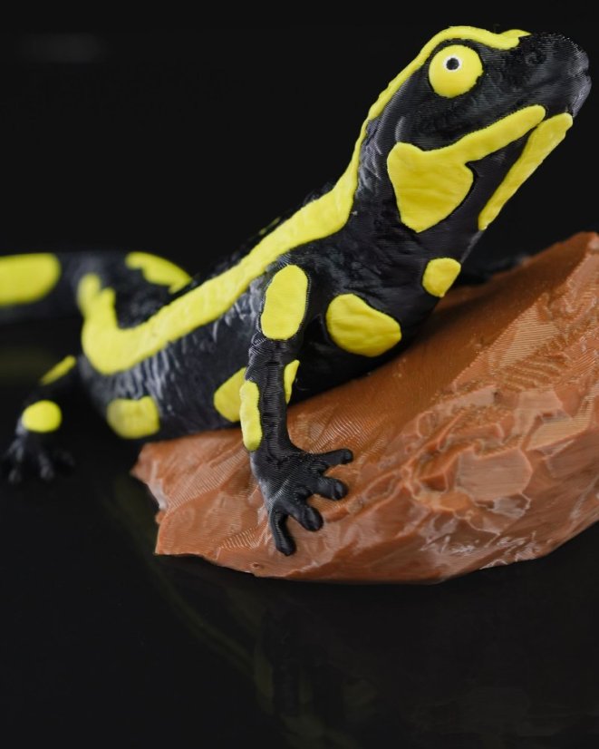 Salamandra