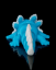 Baby axolotl - Pop - Velikost: Standart
