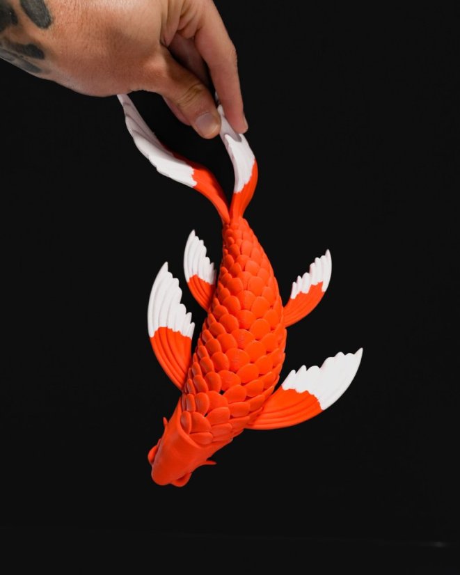 Koi kapr