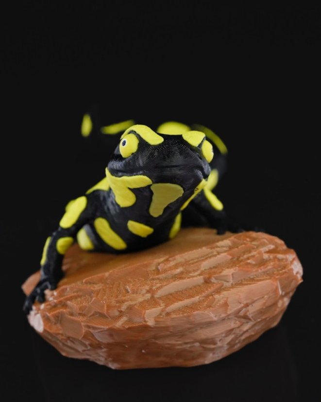 Salamandra