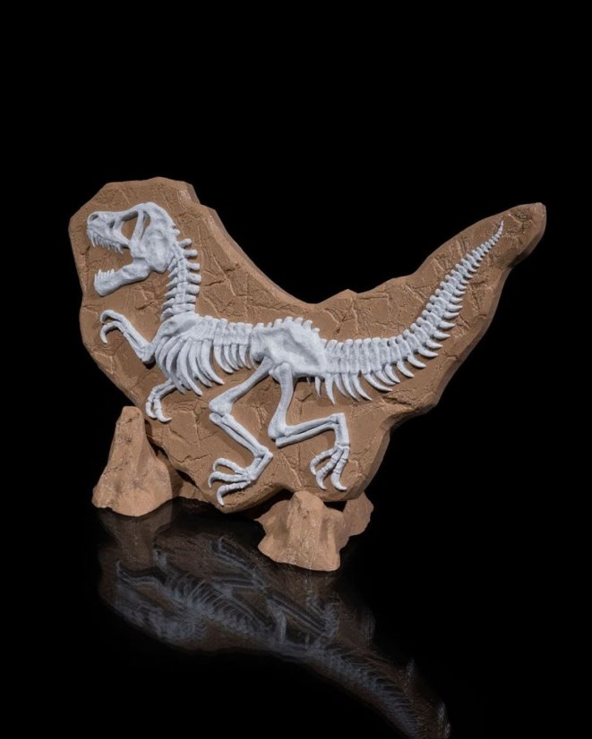 Vykopávka dinosaurus