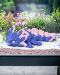 Baby axolotl - Velvet