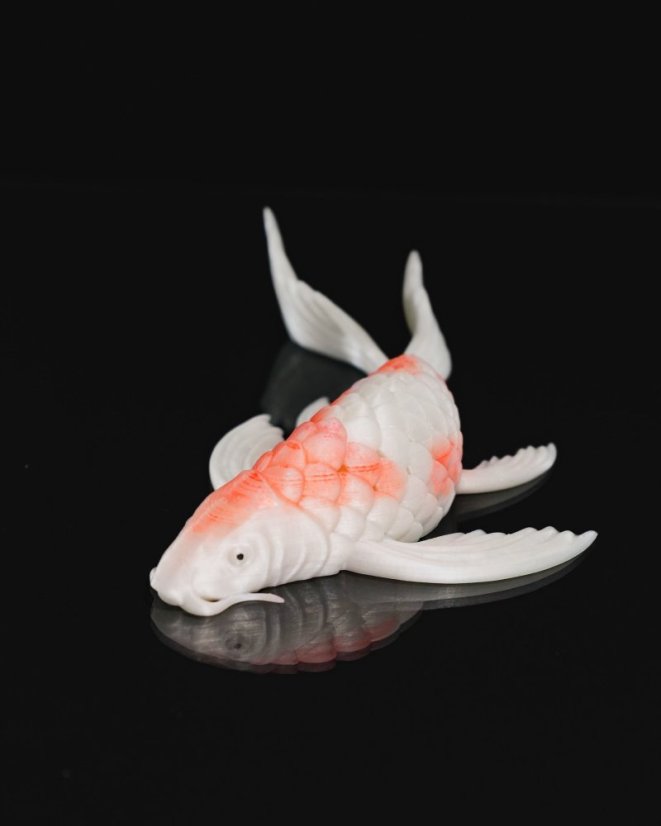 Koi kapr
