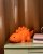 Baby Stegosaurus