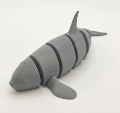 Pohyblivá kosatka - šedá