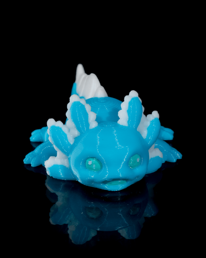 Baby axolotl - Pop