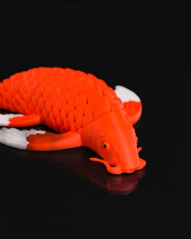 Koi kapr