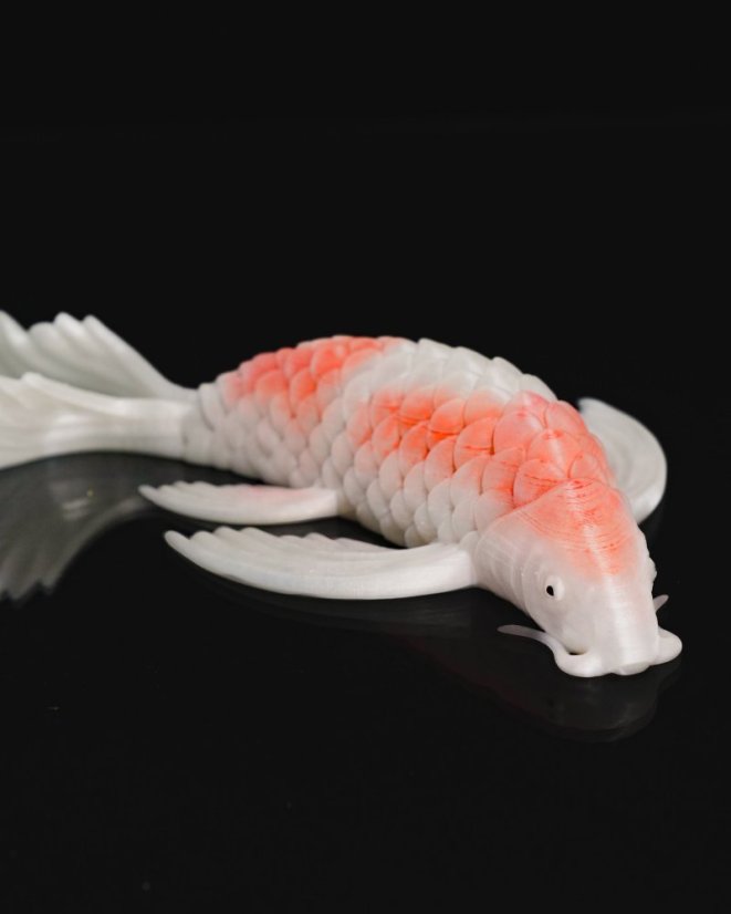 Koi kapr