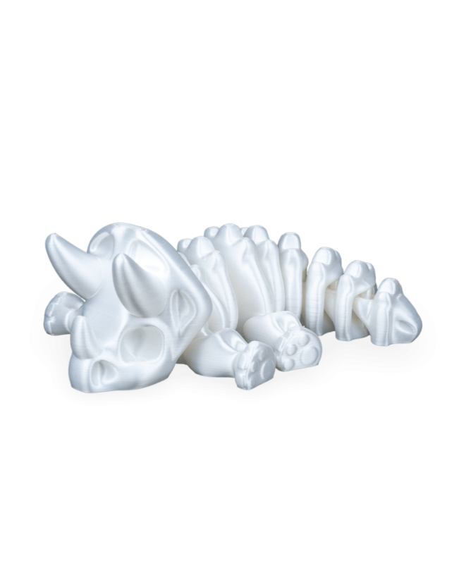 Triceratops - fosílie