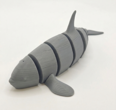 Pohyblivá kosatka - šedá