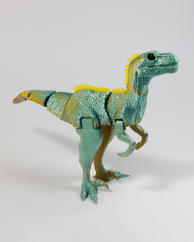 Raptor