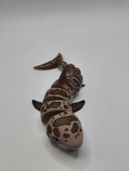 Pohyblivý žralok - motiv Leopardí