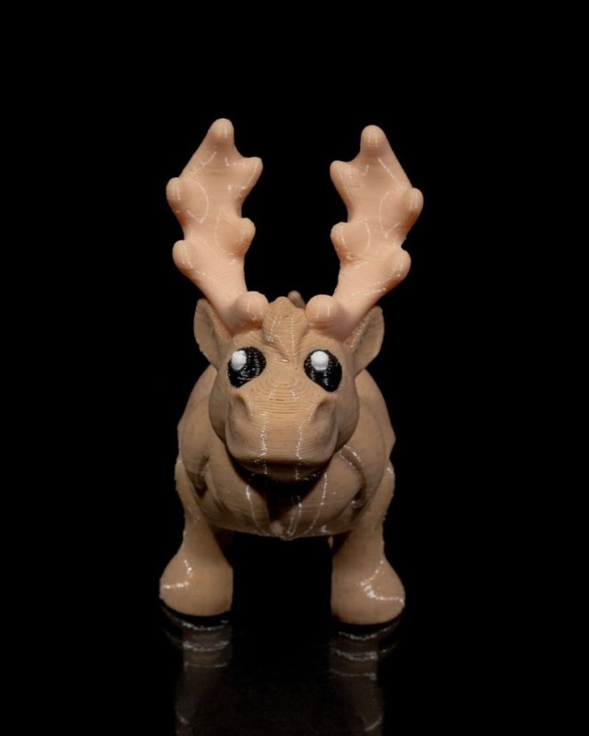 Animale mici - Elan