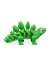 Stegosaurus