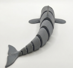 Pohyblivá kosatka - šedá