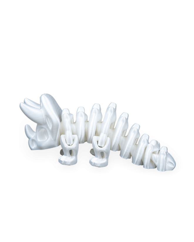 Triceratops - fosílie