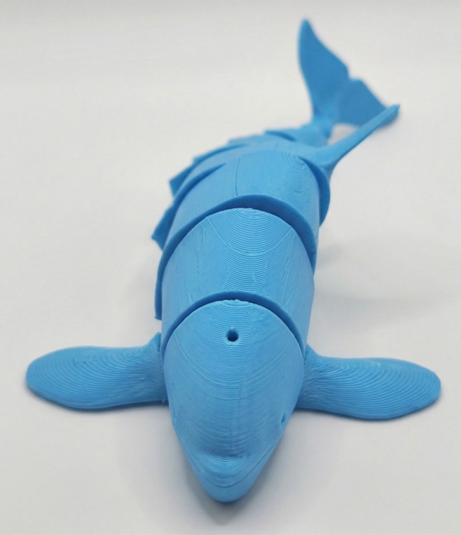 Pohyblivá kosatka - modrá - Velikost: Mini