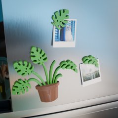 Monstera magnetky