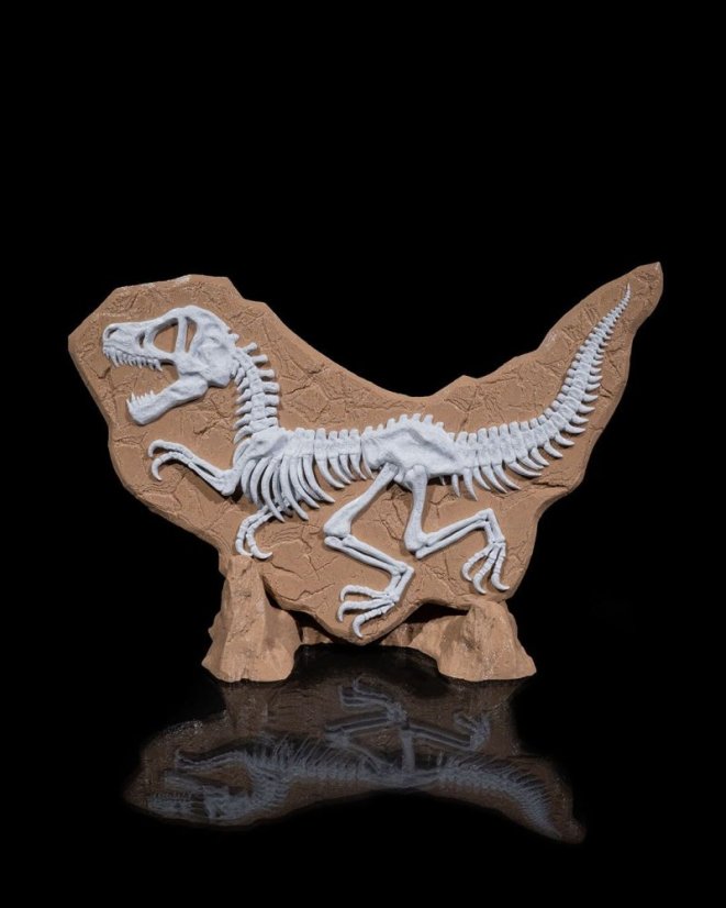 Vykopávka dinosaurus