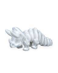 Triceratops - fosílie